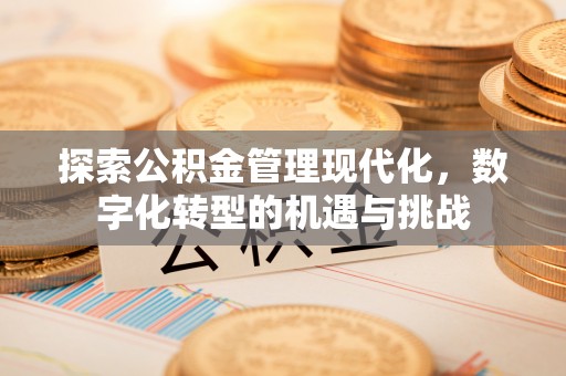 渭源探索公积金管理现代化，数字化转型的机遇与挑战