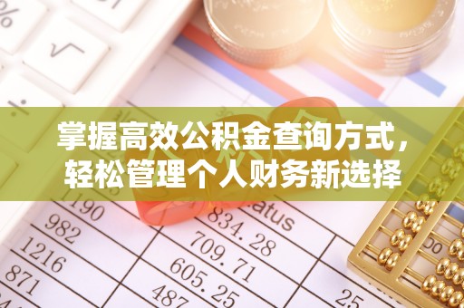 渭源掌握高效公积金查询方式，轻松管理个人财务新选择